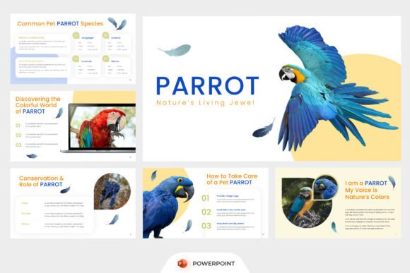 Bird Animal PowerPoint: A Versatile Tool for Educators, Presenters, and Nature Enthusiasts